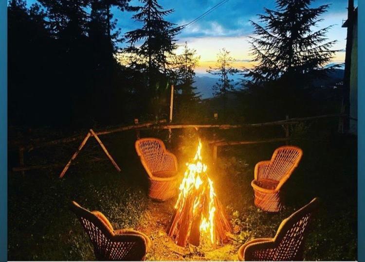 The Manu Emerald # Farmhouse # Top Selling Cottage In Manali # Peaceful Heritage Cozy Stay # Lawn With Bonfire # Most Awarded 外观 照片